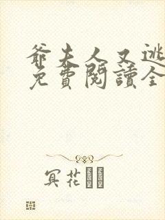 爷夫人又逃婚了免费阅读全文