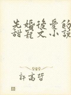 先婚后爱的古言甜宠文小说