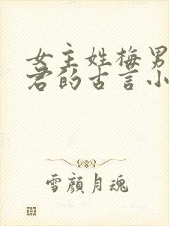 女主姓梅男主姓君的古言小说