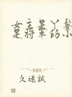 女主是丫鬟男主是将军的小说