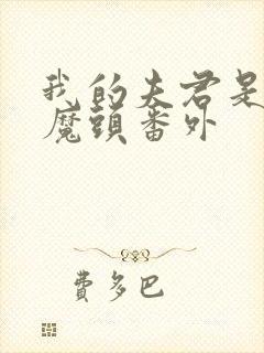 我的夫君是灭世魔头番外