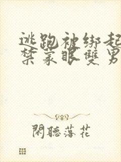 逃跑被绑起来囚禁蒙眼双男主小说