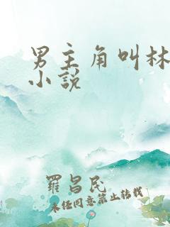 男主角叫林凡的小说