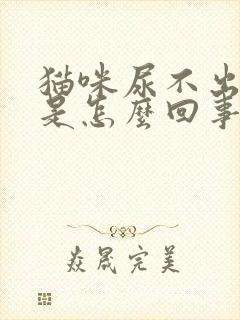 猫咪尿不出来尿是怎么回事