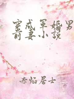 穿成军婚男主的前妻小说