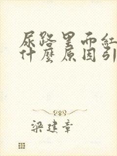 尿路里面红色是什么原因引起的