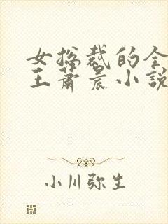 女总裁的全能兵王萧晨小说txt全文免费下载