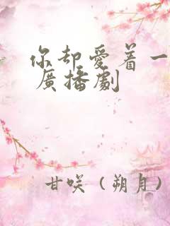 你却爱着一个他 广播剧