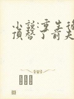 小说:重生后我顶替了前夫白月光