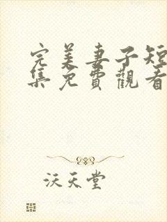 完美妻子短剧全集免费观看高清