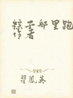 粽子哪里跑小说作者