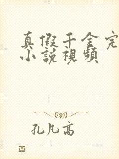 真假千金完结文小说视频