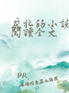 庞北的小说免费阅读全文