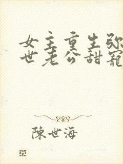 女主重生弥补前世老公甜宠文