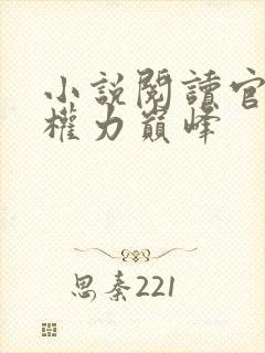 小说阅读官途:权力巅峰