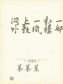 网上一对一英语外教机构哪家好