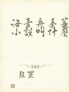 洛青舟秦蒹葭的小说叫什么