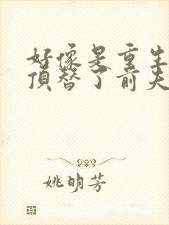 好像是重生后我顶替了前夫白月光