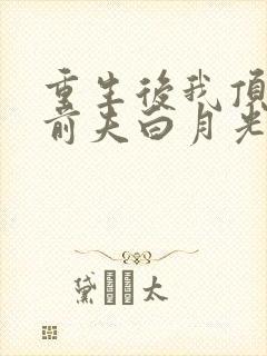 重生后我顶替了前夫白月光免费阅读