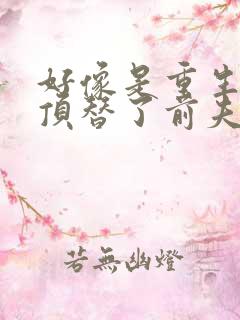 好像是重生后我顶替了前夫白月光