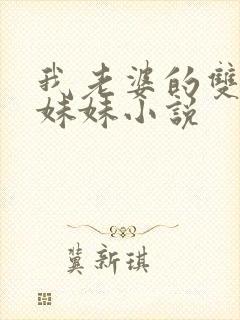 我老婆的双胞胎妹妹小说