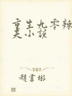 重生九零辣妻追夫小说