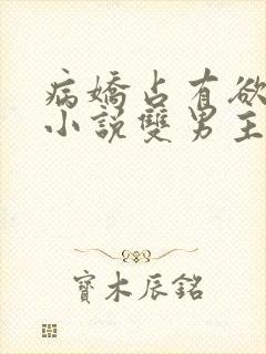 病娇占有欲强的小说双男主