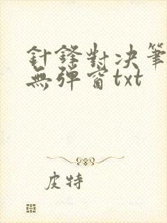 针锋对决笔趣阁无弹窗txt