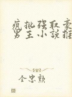 疯批强取豪夺双男主小说推荐