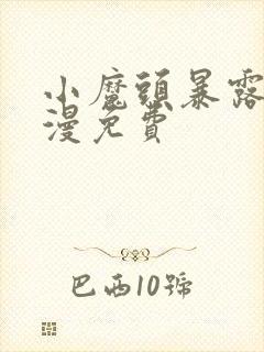 小魔头暴露啦动漫免费