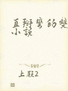 直掰弯的双男主小说