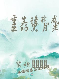 重生后我成了奸臣的黑月光起点