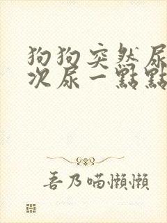 狗狗突然尿频每次尿一点点