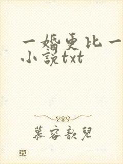 一婚更比一婚高小说txt