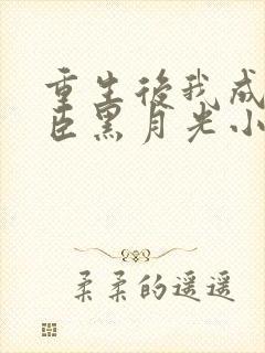 重生后我成了奸臣黑月光小说