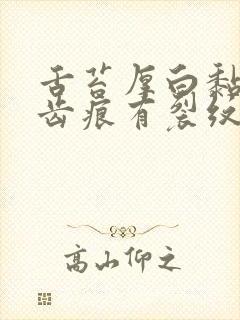 舌苔厚白黏腻有齿痕有裂纹