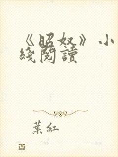 《昭奴》小说在线阅读