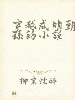 穿越成明朝皇太孙的小说