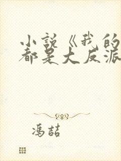 小说《我的徒弟都是大反派》