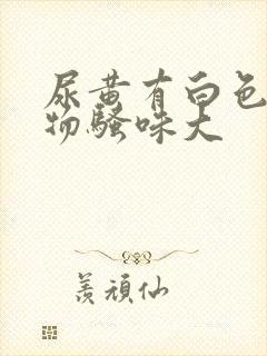 尿黄有白色沉淀物骚味大