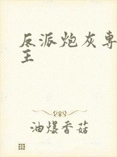 反派炮灰专撩女主