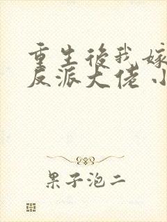 重生后我嫁给了反派大佬 小说