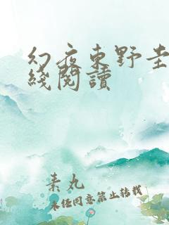 幻夜东野圭吾在线阅读