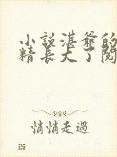 小说湛爷的小妖精长大了阅读