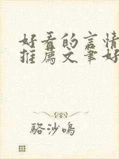 好看的言情小说推荐文笔好