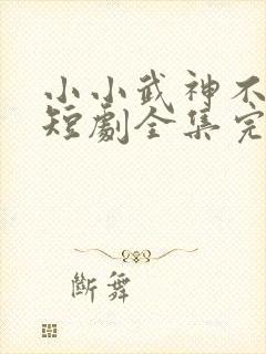 小小武神不好惹短剧全集完整版