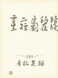 贾二虎的精彩人生短剧在线观看免费