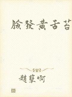 脸发黄舌苔发白