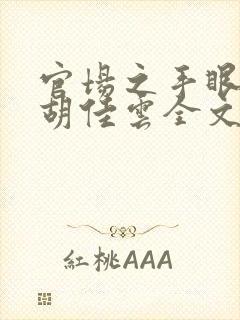 官场之手眼通天胡佳云全文小说