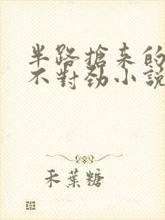 半路抢来的夫君不对劲小说免费阅读